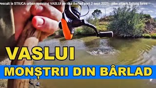 Pescuit la rapitor / Spinning la stiuca pe râul Barlad part 2 sept 2021 / Pike attack fishing lures