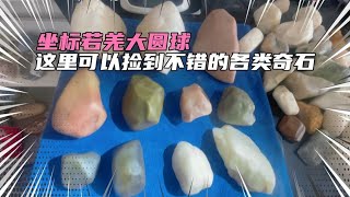 Treasure hunt | 今天收获不错，坐标若羌捡玉点大圆球后面，这里有不错的各类奇石【花大郎寻宝记】