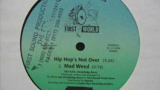 First World - Hip Hop's Not Over