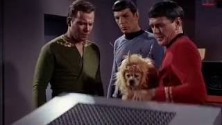 TOS S1E5 05 The Enemy Within Trailer