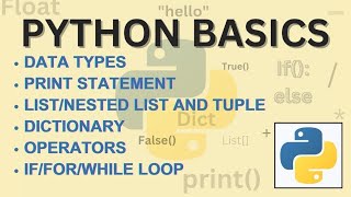 Python Basics: Data Types, Operators, Loops, and More | Coding Examples for Beginners