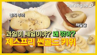 [프리미엄 과일] 제스프리 뉴질랜드 썬골드 키위