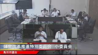 平成26年6月3日議会改革推進特別委員会　調査事項に関する小委員会