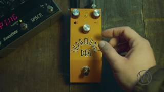 Dag Pedals / Supamodel / Gear Demo / VintageandRare.com