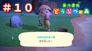 #10【あつまれ どうぶつの森】ちょいのゲーム実況プレイ【Switch】