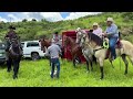 así se prepara un caballo frison para una cabalgata en guerrero méxico