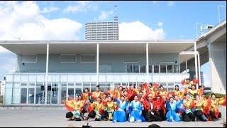 [4k]神戸大学よさこいチーム山美鼓　神戸よさこい2017　橋の科学館会場