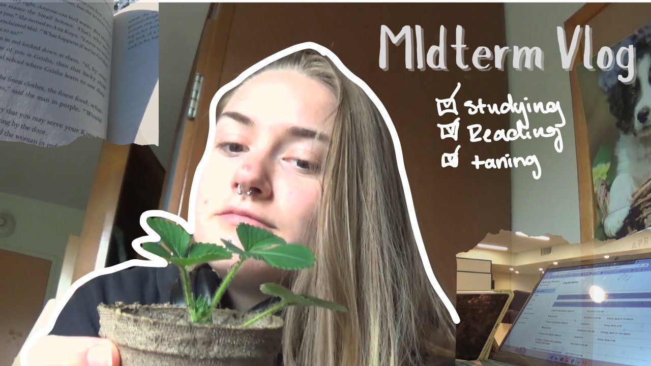 Midterm Study Vlog Reading Studying And More Youtube