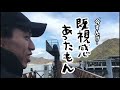 【淡島編⑨】祝再開！あわしまマリンパークの穴場スポットを巡るぜ！多分な！【最終話】