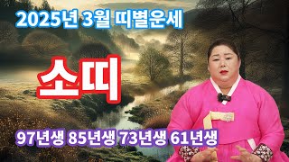 2025년 3월 소띠운세 97년생 85년생 73년생 61년생 미륵암 \u0026 황후신궁 강남점집 서울점집 공주점집 대전점집 세종점집 삼성동점집