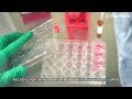 how to use invitrogen live dead cell imaging kit with p3d scaffolds