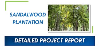 #JUSPAID #REALESTATE PROUDLY PRESENTS #sandalwood #Plantation Project Report  #chandan