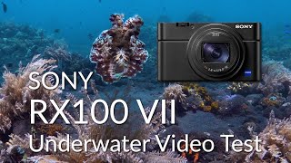 Sony RX100 VII Underwater Video Test
