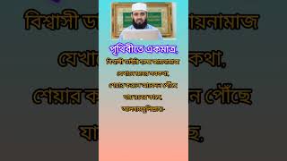 পৃথিবীতে একমাত্র,#Islamic video#shortsfeed #shortvideo #shortsstatus