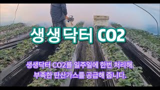 [생생닥터] 생생닥터 CO2로 일주일에 한번 부족한 탄산가스를 보충합니다!