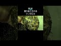 掘り起こされるツノガエル2024.11.25 frog pacmanfrog クランウェルツノガエル ツノガエル