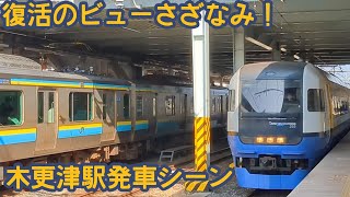 臨時特急ビューさざなみ【9701M】館山行木更津駅発車シーン