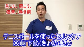 【首肩コリの方必見！！】テニスボールを使ったセルフケア※棘下筋(きょくかきん)