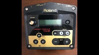 Roland TM-2 (8 months with the TM-2)