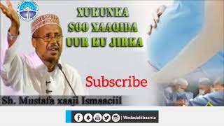 Xukunka gabadha in ay Uurka  ay iska soo rido || Sheikh Mustafa Haji Ismail