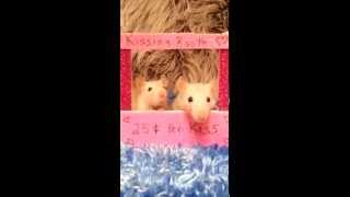 Kissing Booth