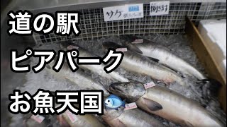 【車中泊・下道で1500キロ63】道の駅ピアパーク 新潟県糸魚市 レビュー!リーフe+で逝く金沢能登半島の旅