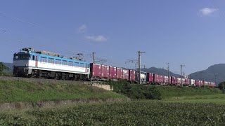 【JR貨物】大遅１０６３レ ＥＦ８１ ４５５ タンクコンテナ積載