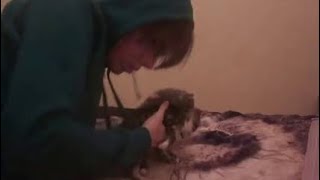 1 Boy 2 Kittens (REAL FOOTAGE)