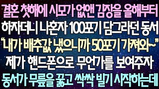 (반전 사연) 결혼 첫해에 시모가 없앤 김장을 올해부터 하자더니 나혼자 100포기 담그라던 동서 제가 핸드폰으로 무언가를 보여주자 동서가 무릎을 꿇고 싹싹 빌기 시작하는데