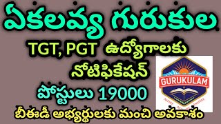 ఏకలవ్య గురుకులాల్లో టీజీటీ పిజిటి ఉద్యోగాలు  Eklavya Gurukula jobs 2023 in Telugu // TGT PGT Eklavya