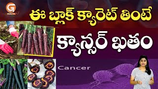 ఈ బ్లాక్ క్యారెట్స్ తింటే క్యాన్సర్ ఖతం.. | Advantages Of Black Carrot | Cancer | Gattu Health