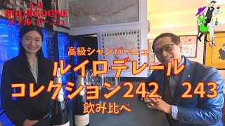 シャンパン　ルイロデレール　コレクション　242　243　飲み比べ