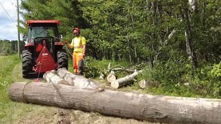 Cleaning up storm damage | Igland 3501 Skidding Winch in action