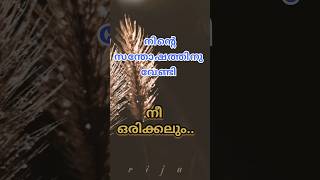 നിന്റെ സന്തോഷത്തിനായി നീ അവളെ.. #shorts #shortsfeed #subscribe