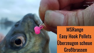 MS RANGE -  Schneller Erfolg beim Friedfischangeln mit den Easy Hook Pellets und Boilies