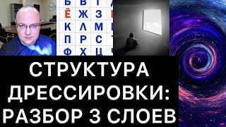 СТРУКТУРА ДРЕССИРОВКИ: РАЗБОР 3 СЛОЕВ