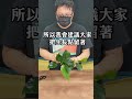 我這一刀下去，就可以繁殖出更多水草！easy tips to propagate anubias aquarium plants shorts