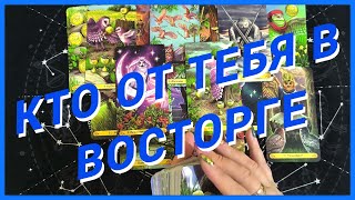 Таро Для Мужчин💙ОГО❗️КТО ОТ ТЕБЯ В ВОСТОРГЕ❗️БУДУТ ЛИ С НЕЙ ОТНОШЕНИЯ❗️Мужское Таро❗️Вика Таро