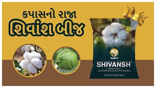 ખેડૂતોનો ભરોસો શિવાંશ કપાસ બીજ। Shivansh Cotton Testimonial | Cotton Seed