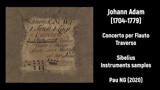 [Sheet music] Johann Adam (1704-1779) - Concerto per Flauto Traverso