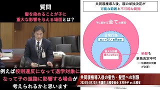 【共同親権では髪を自由に染められない】本村伸子 vs 竹内努民事局長 2024年4月23日 衆議院 法務委員会