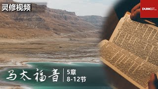 灵修视频：马太福音 5：8-12【天国八福 (二)】