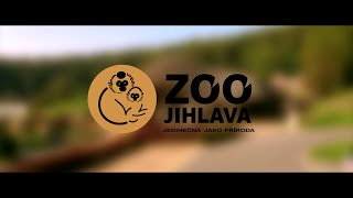 ZOO JIHLAVA 2016