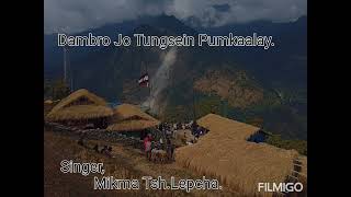 Dambro Jo Tungsein Pumkaalay by Mikma Tsh.Lepcha.