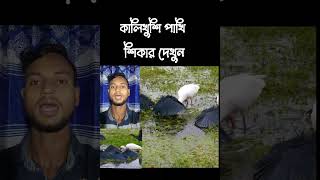 এ পাখি স্বীকার করা পদ্ধতি অনেক সুন্দর | #viralvideo #tiktok #tiktokviral#short