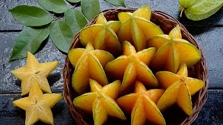 Eating a Starfruit, Carambola with Shamus O'Leary