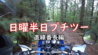 南予プチツーリング　林道タイマツ線ノーカット　HONDAXRV750 AFRICATWIN RDo7 アフリカツイン