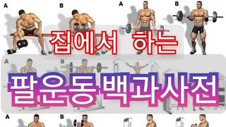 강한 팔을 만들기 위한 전략방법 홈짐 따라기기 #팔운동 #팔굽혀펴기 #푸쉬업