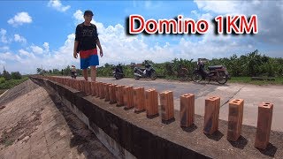 NTN - Tôi Đã Xếp Domino Gạch Dài Nhất Thế Giới (Creating A 1Km Long Domino Road)