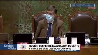 “¡Amor! ¡Te están llamando!”: El chascarro de la diputada Daniella Cicardini